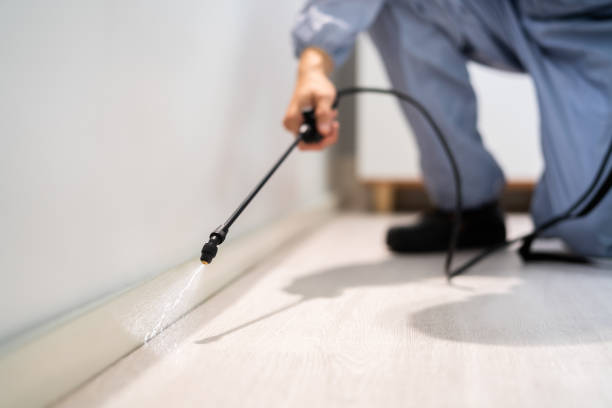 Licensed Pest Control service in Rosedale, CA - Show Me Pest Control