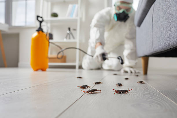 Commercial Kitchen Cockroach Control in Rosedale